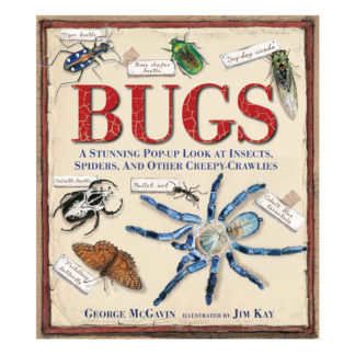 Bug Pop Up Book Kids