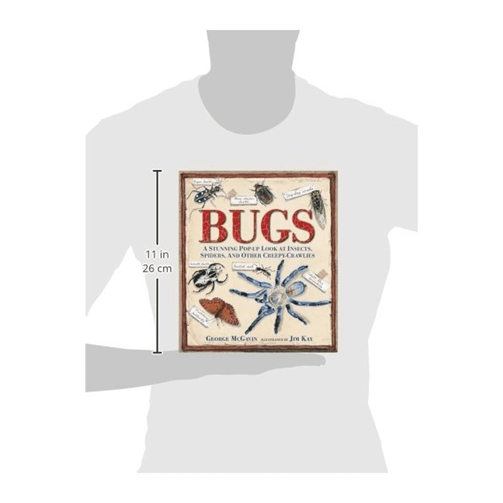 Bugs Pop Up Book