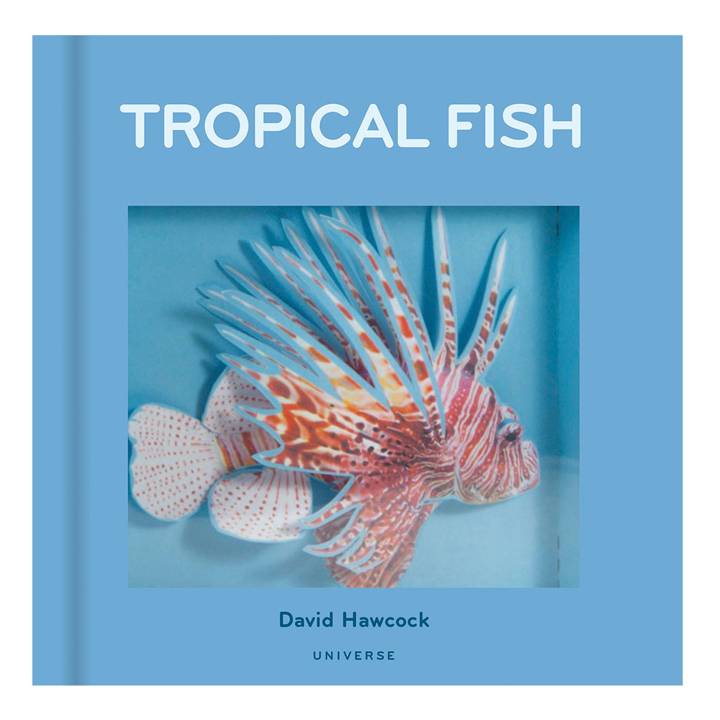 Tropical Fish Pop up book
