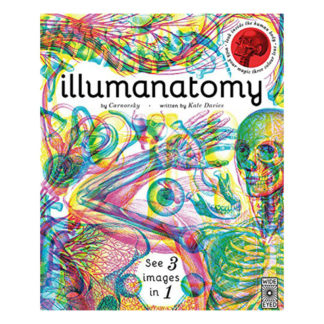 illumanatomy childrens book