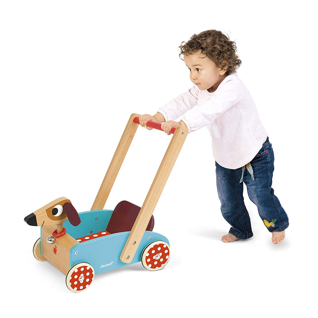 Janod Wooden Push Toy