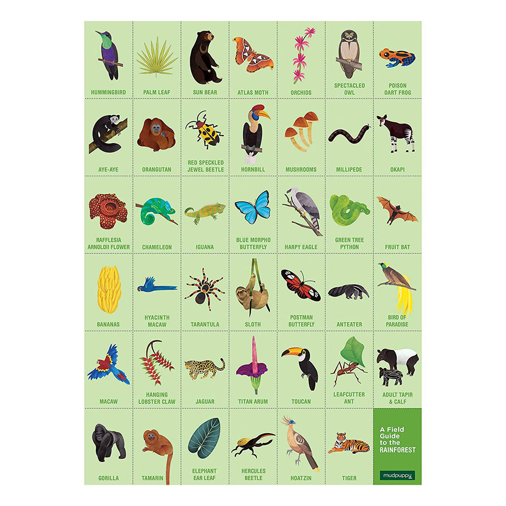 Rainforest Animal Puzzle
