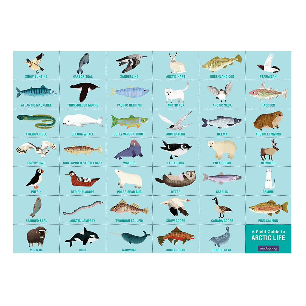 animal field guide for kids
