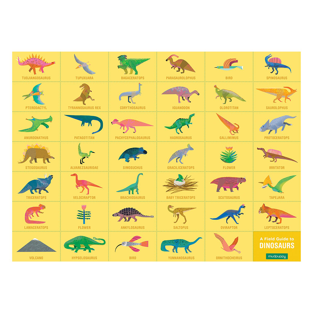 dinosaur field guide for kids
