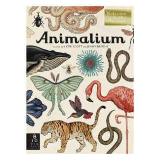 Animalium Welcome to the Museum Book