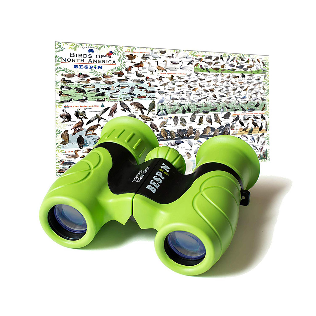 Binoculars for Kids (with Bird Map) For Kids - Happy Little Tadpole