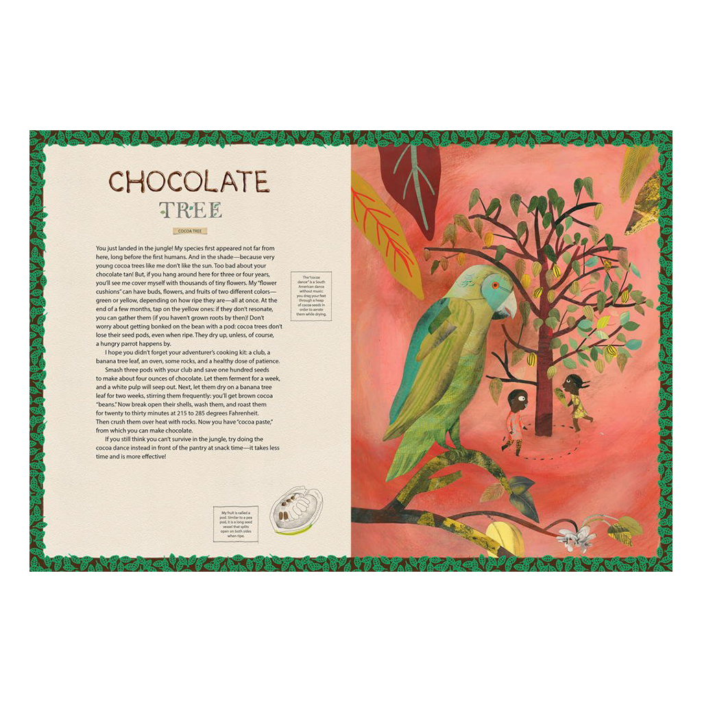 Chocolate Tree Childrens Book