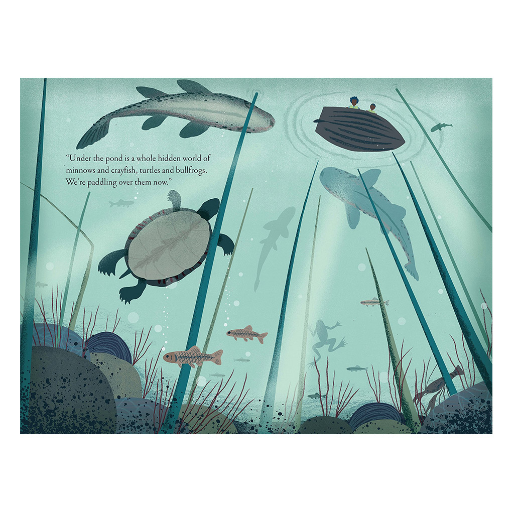 Pond Animal Childrens Book