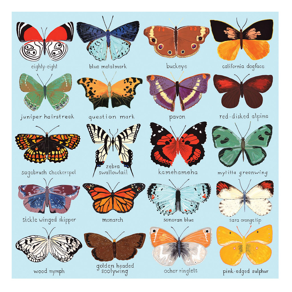 Butterfly puzzle for kids