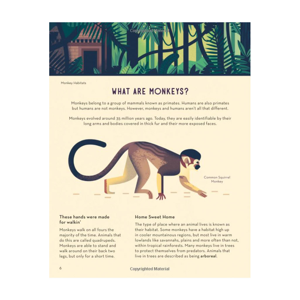 Childrens Book about Monkeys