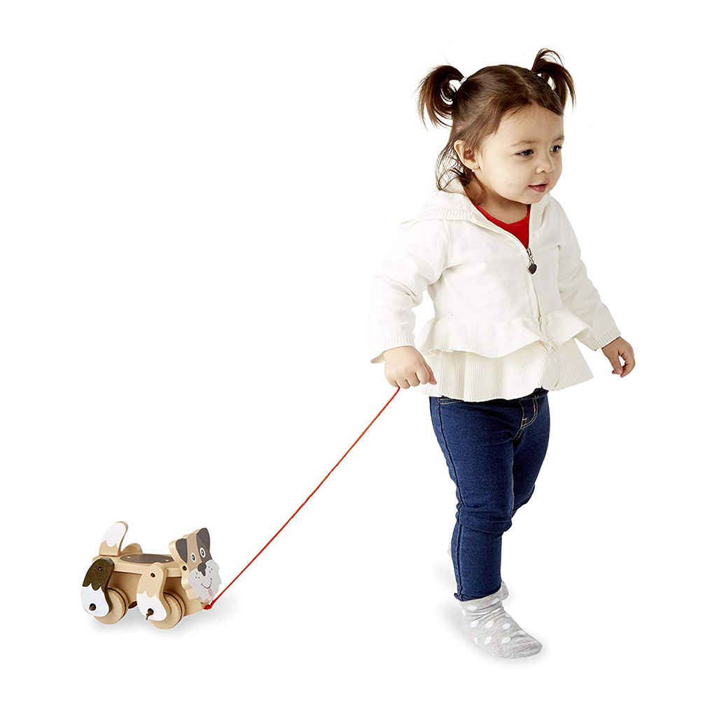 Walk Along Puppy, Pull Along Toy