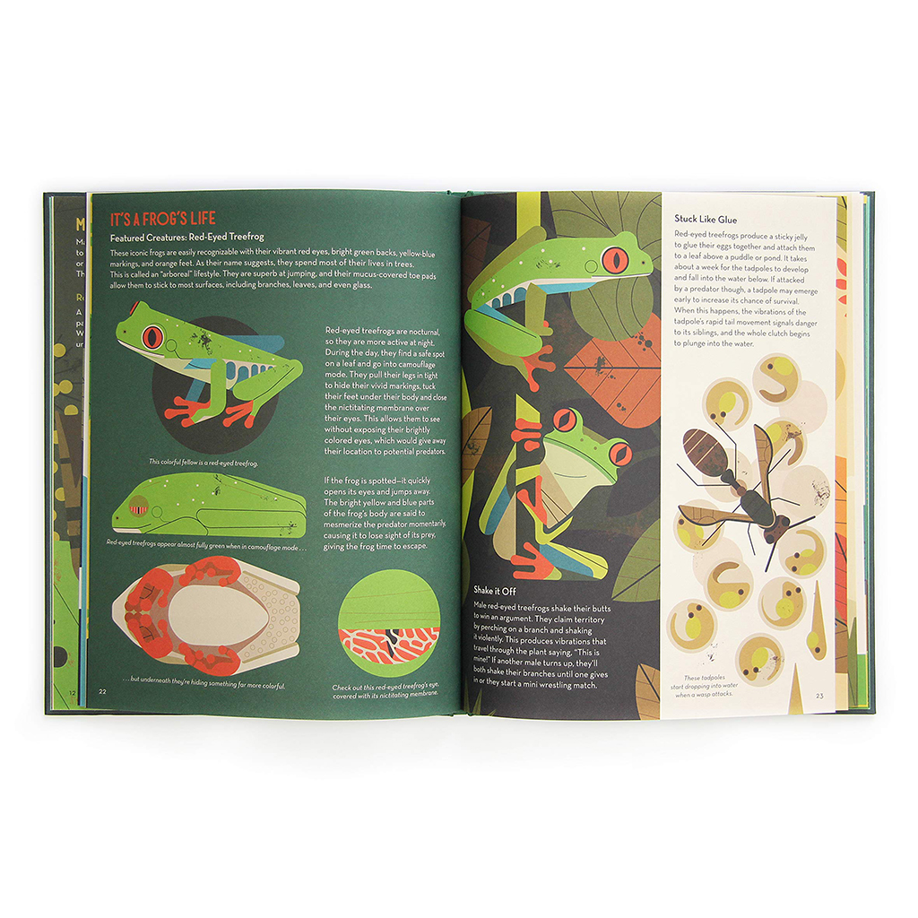 Owen Davey Book About Frogs