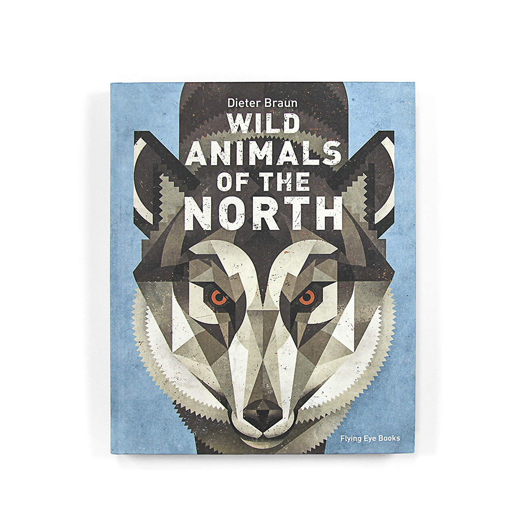 Wild Animals of the North Children's Book - An Artful Book for Kids 7+