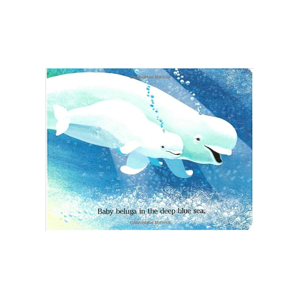 baby beluga in the deep blue sea