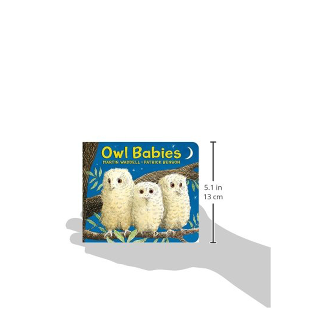 owl babies baby board book