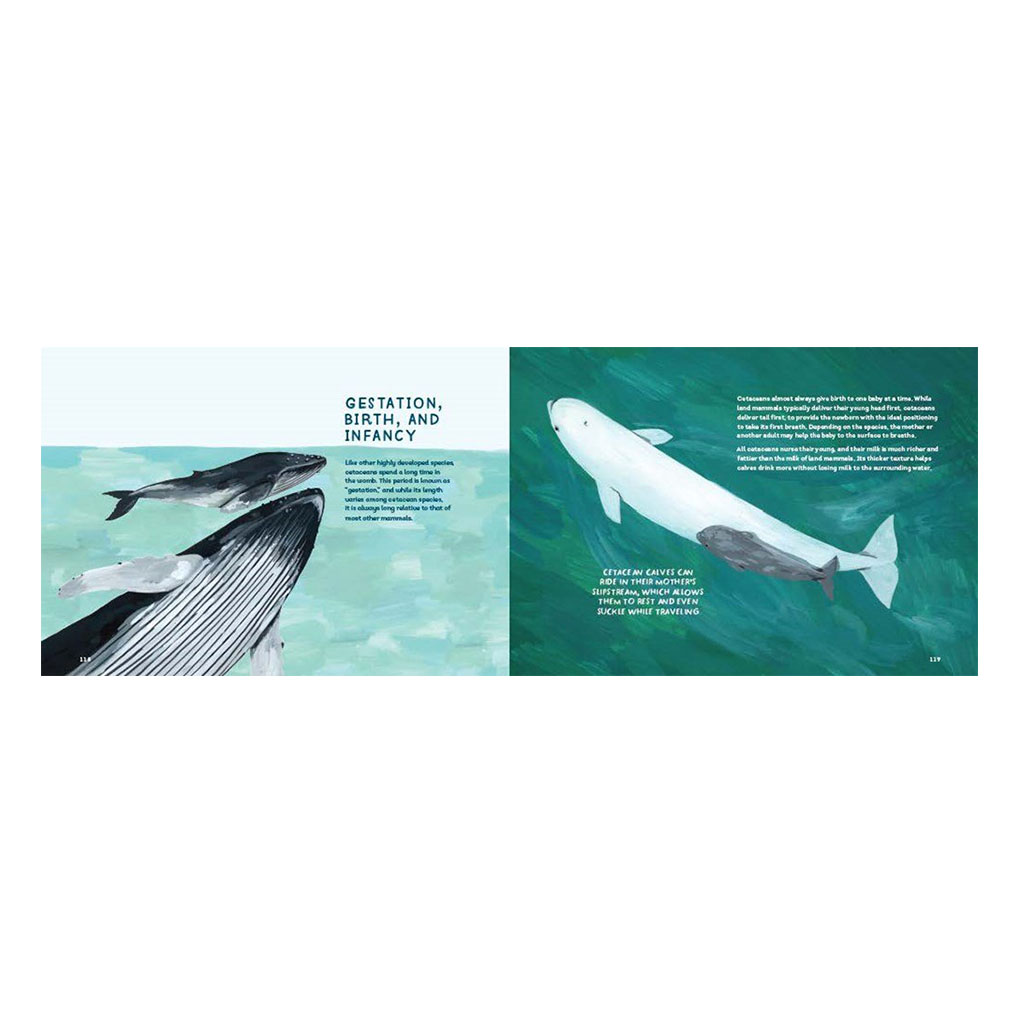 whale childrens book